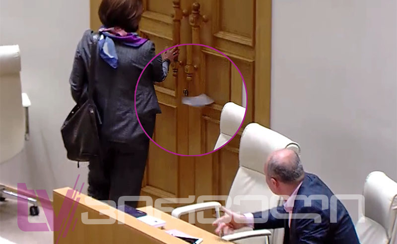 გურამ მაჭარაშვილმა სალომე სამადაშვილს წიგნი ესროლა (ვიდეო)