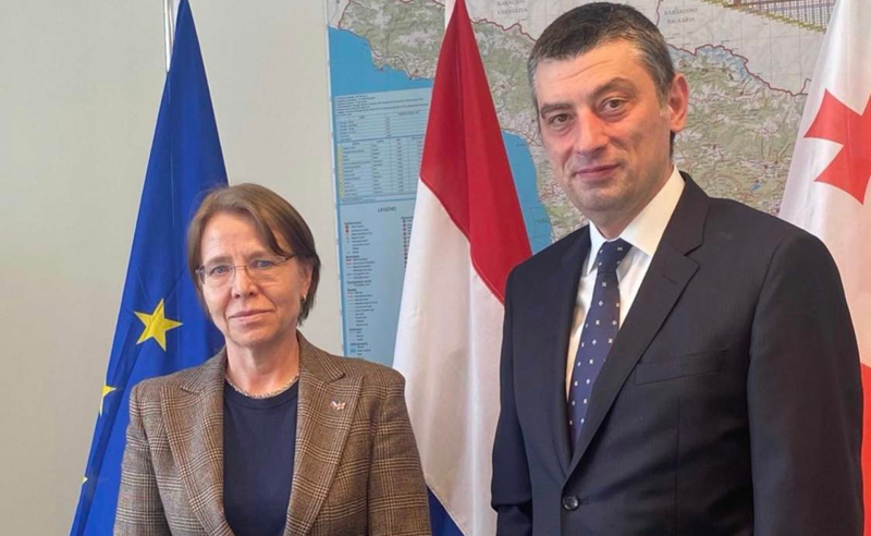 ნიდერლანდების ელჩს ვთხოვე მხარდაჭერა საქართველოსთვის ევროკავშირის წევრობის კანდიდატის სტატუსის მინიჭების პროცესში - გახარია