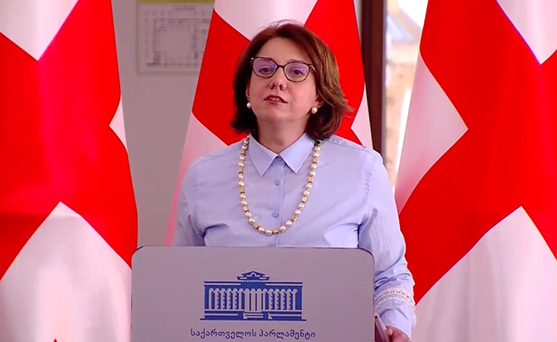 განსხვავება არ იქნებოდა, დროშა თავად პაპუაშვილს, კობახიძეს ან ღარიბაშვილს რომ ჩამოეხია - სამადაშვილი