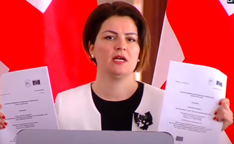 "ორი მტკიცებულება, რომელიც "ოცნების" ტყუილს ადასტურებს"  - ნაცვლიშვილის საგანგებო ბრიფინგი 