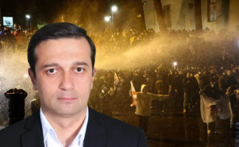 მზად ვარ შევხვდე ყველას, ვინც ხელისუფლების მხრიდან გრძნობს რაიმე საფრთხეს - ომბუდსმენი