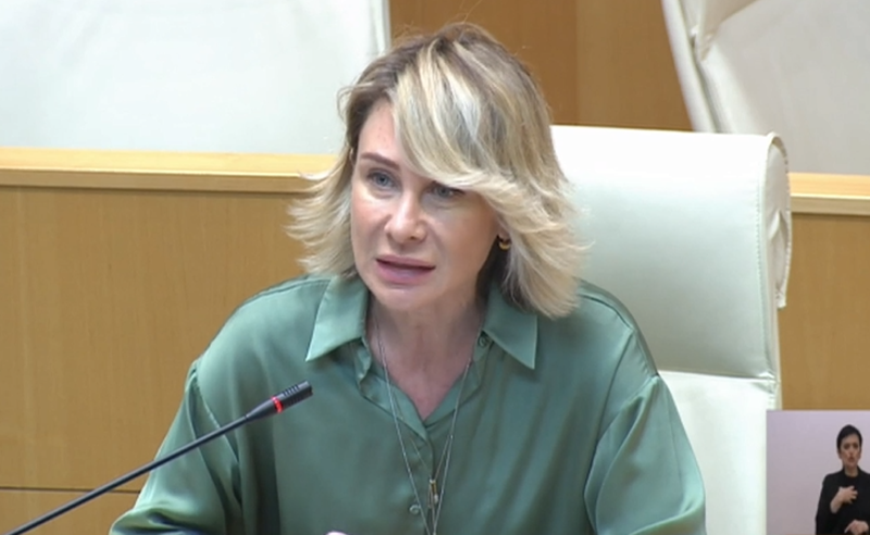 GEN Z თაობით რომ ბრენდავთ, მათ საერთოდ არ მოსწონთ ამ უცხო ტერმინებით დაბრენდვა - წილოსანი