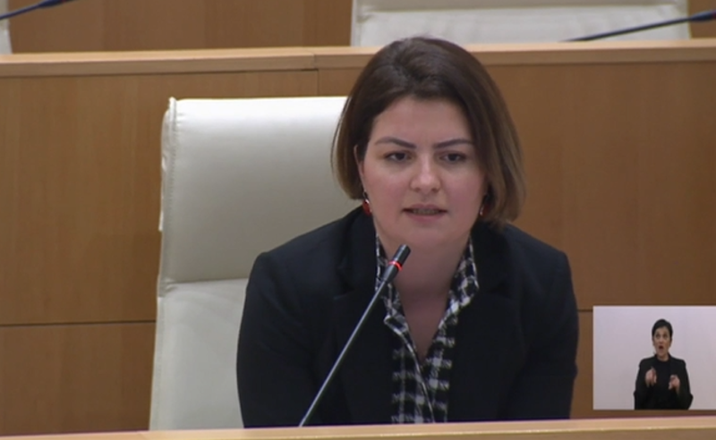 მდინარაძე მოძალადეს ხელს აფარებს - ანა ნაცვლიშვილი 