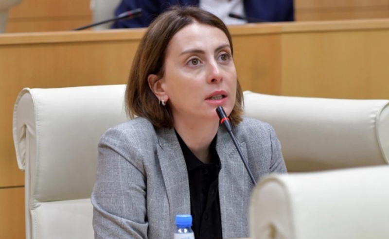 ამ ვითარებაში ძალიან რთული იქნება ჩემი იქ ყოფნა - ხატია დეკანოიძე ფრაქციას ტოვებს?