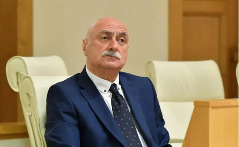 ექიმის პასუხისმგებლობაა, პაციენტი არ დარჩეს უპატრონოდ - კახაძე "ვივა მედის" განცხადებაზე