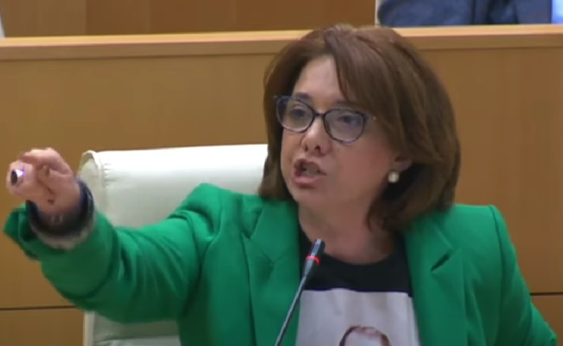 "თქვენ, ახალგაზრდებს უწოდეთ სატანისტები, დამნაშავე ხართ, ბატონო პრემიერო!" - სამადაშვილი
