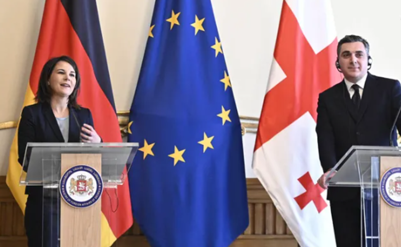 მხოლოდ საქართველოს მთავრობა, სამოქალაქო საზოგადოების გარეშე ვერ გახდება ევროკავშირის წევრი - ბერბოკი