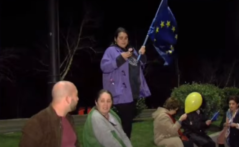 სტუდენტები, რომლებიც გერმანელ დიპლომატს არ შეახვედრეს, ბერბოკს ევროკავშირის დროშებით აცილებენ