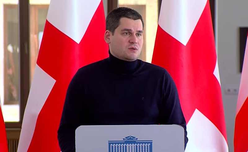პრეზიდენტმა საკმაოდ პირდაპირ, მკაფიოდ და სწორად შეაფასა მოვლენები - დაუშვილი