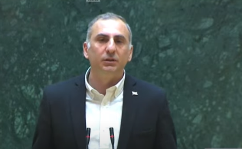 ბოდიშს გიხდით, რომ თქვენი პრეზიდენტობა არ მინდოდა, სიტყვები უკან მიმაქვს - ელისაშვილი ზურაბიშვილს