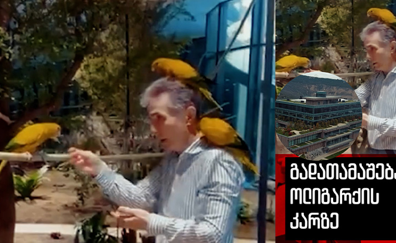 ბიძინა ივანიშვილი საცხოვრებელ მისამართს იცვლის - სად არის ოლიგარქის ახალი რეზიდენცია