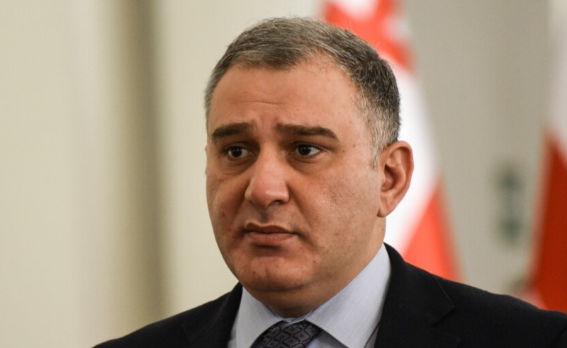კრამონი რევოლუციური სცენარის, რადიკალიზაციის მხარდაჭერით გამოირჩევა - მიხეილ სარჯველაძე