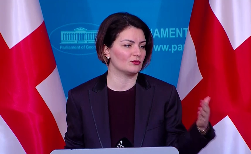 გოგაშვილის საქმე ძალიან მძიმე, შავი ლაქაა "ოცნებისთვის" - ანა ნაცვლიშვილი