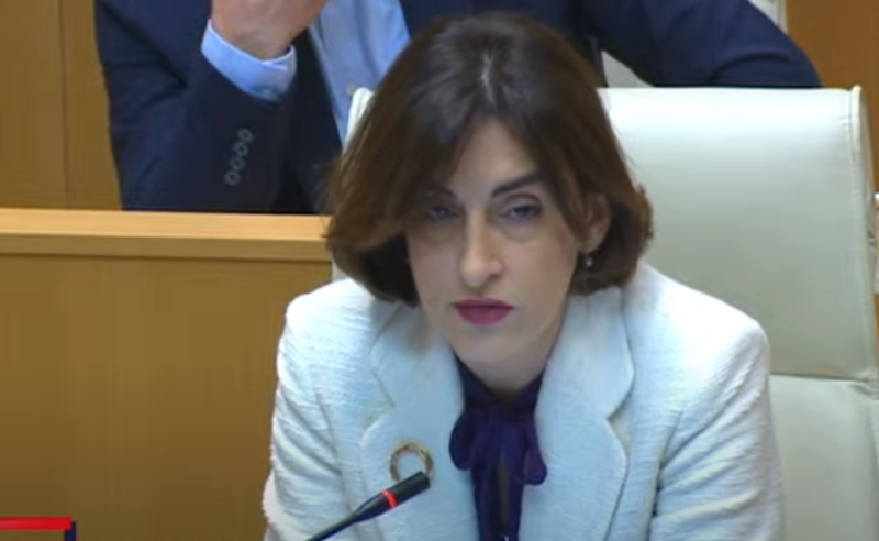 სინამდვილეში არც რუსული კანონი არსებობს და არც "რუსული ოცნება" - მარიკა ბოჭორიშვილი