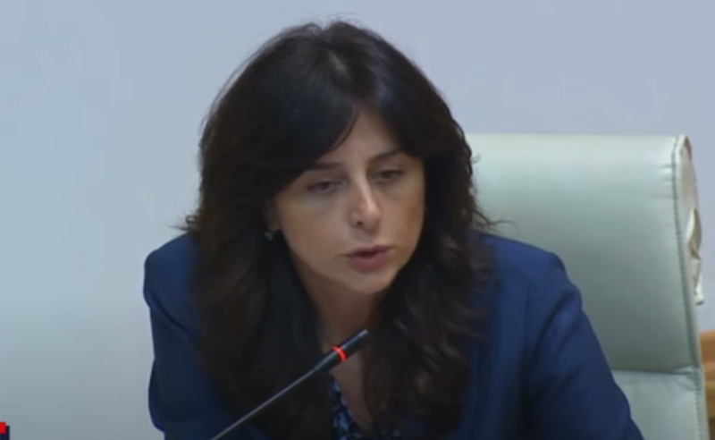 ოპოზიცია საქართველოს ზურგში დანას არტყამს - მაია ბითაძე