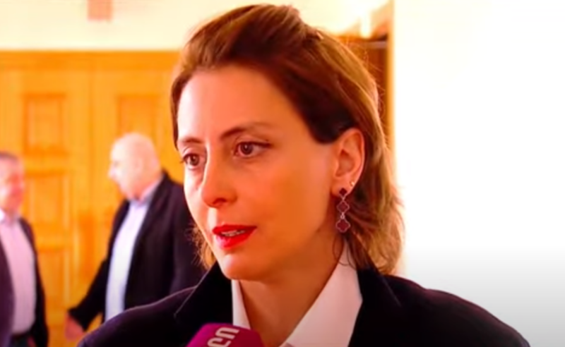 ენმ-ს წინასაარჩევნო კამპანია მართული იყო, სააკაშვილის მდგომარეობით სპეკულირებდნენ - დეკანოიძე