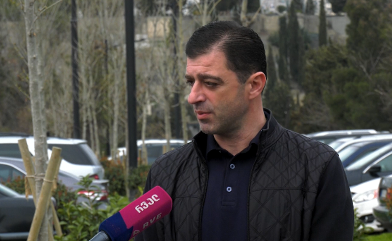 დავალების შემსრულებლები და პოლიტიკური გადაწყვეტილების მიმღები მოსამართლეებიც დასანქცირდებიან - ახვლედიანი