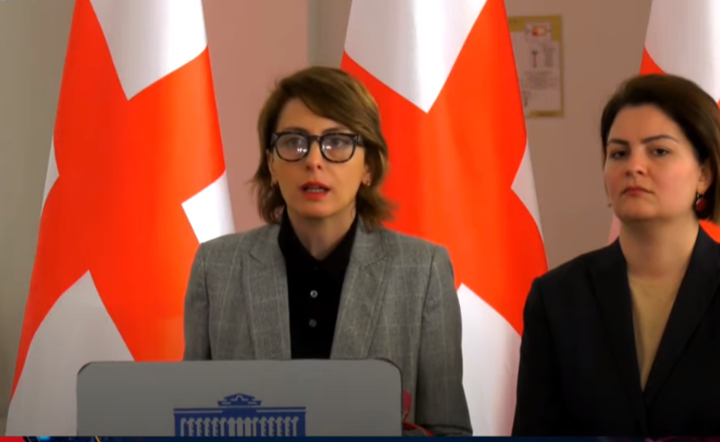 "საქართველოს პარლამენტში დიქტატის და შერჩევის წესი მოქმედებს" - ოპოზიციის ბრიფინგი