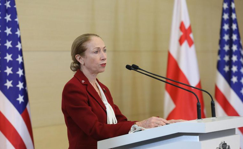 დეგნანი პარლამენტშია - აშშ-ს ელჩი შალვა პაპუაშვილს ხვდება