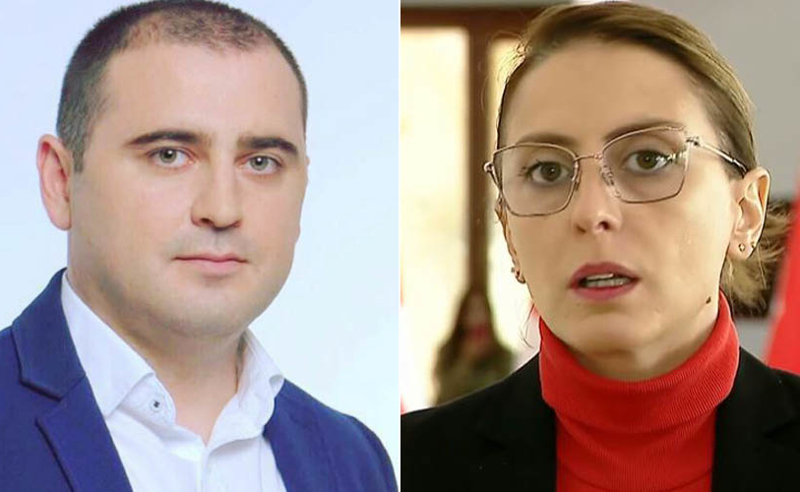 რუსული კანონის განხილვისას ხატია დეკანოიძე მაიამიში იყო - ლევან ხაბეიშვილი