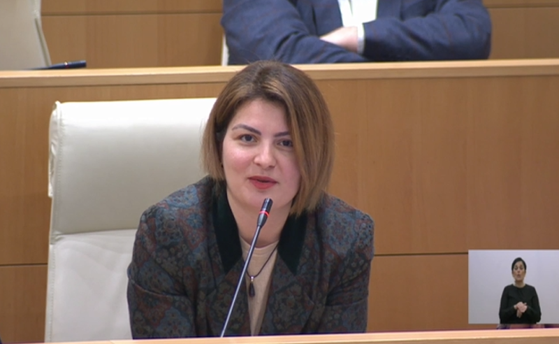 თუ სასამართლო კლანურად და კრიმინალურად არ იმართება, მაშინ რატომ გაშინებთ კომისია? - ნაცლიშვილი "ოცნებას"