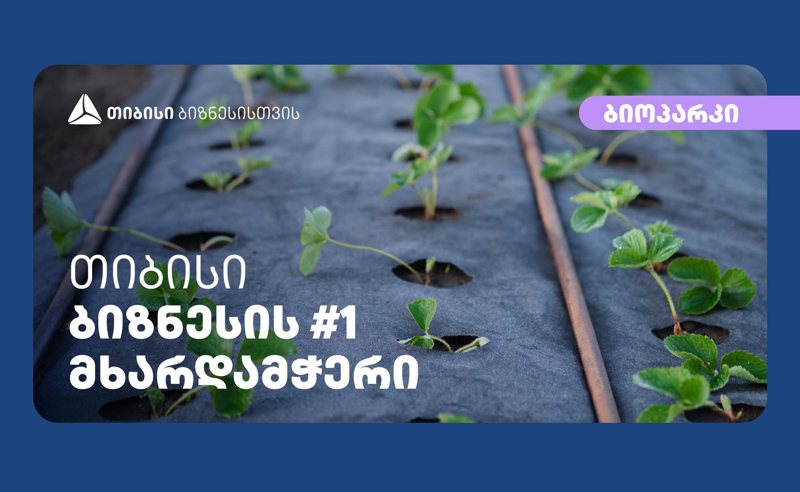 თიბისისთან პარტნიორობით კომპანია „ბიოპარკმა“ ქართულ ბაზარზე აგროქსოვილის რეალიზაცია გაზარდა