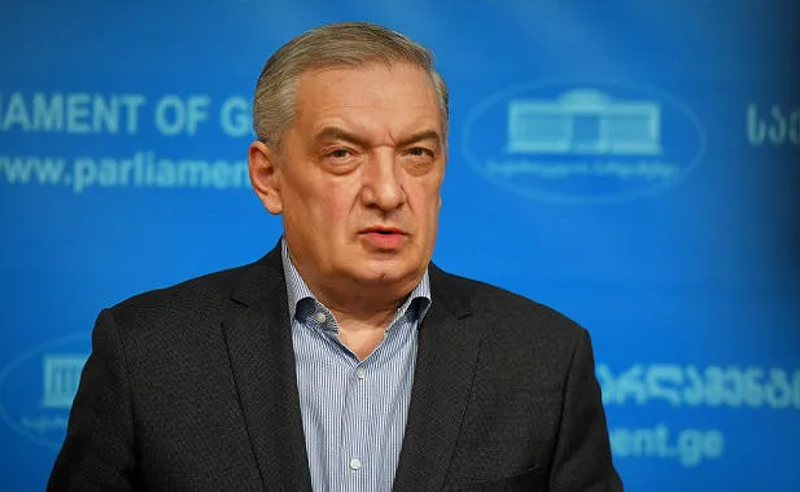 პოლიტიკური ქულების ძიება მშობლების უბედურების ხარჯზე ამაზრზენია- ვოლსკი პრემიერის განცხადებას იმეორებს