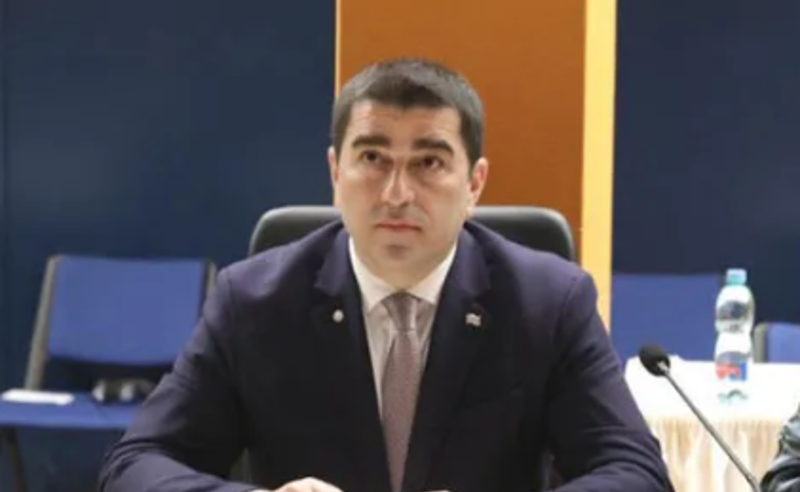 აღარ არისღია კარის დრო, საქართველომ ისწავლა წარსულის გაკვეთილებზე, იმედია, EU-ც გადააფასებს თავის როლს- პაპუაშვილი