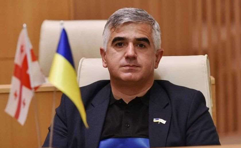 პროევროპული ოპოზიციის ერთობლივ ბრძოლას ალტერნატივა არ გააჩნია - ბოტკოველი