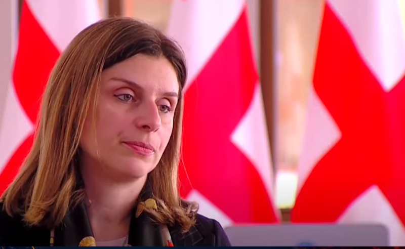 პრემიერმა დემოკრატიის პროგრესი ვერ აჩვენა - თეონა აქუბარდია ევროსაბჭოში ჩალილ ბრიფინგზე