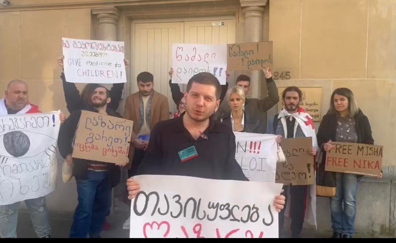 "თავისუფლება ლაზარეს, წამალი ბავშვებს!'- ღარიბაშვილი შეხვედრებს ემიგრანტების აქციის ფონზე მართავდა 