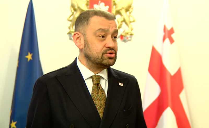 "ისტერიჩკები და სარეველები"- ოდიშარია ოპოზიციაზე