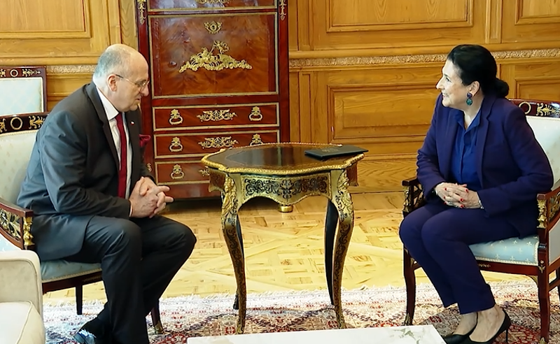 პოლონეთის საგარეო საქმეთა მინისტრი სალომე ზურაბიშვილს ხვდება