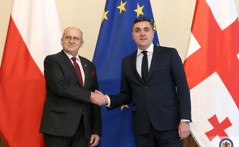 პოლონეთის მხარდაჭერა ჩვენი ევროპული ინტეგრაციის მიმართულებით სასიცოცხლოდ მნიშვნელოვანია - დარჩიაშვილი
