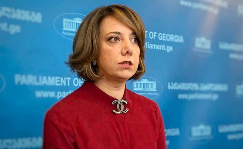 "ოცნების" სამარცხვინო პროპაგანდა ჩამოიშალა - სამადაშვილი სტრასბურგის გადაწყვეტილებაზე