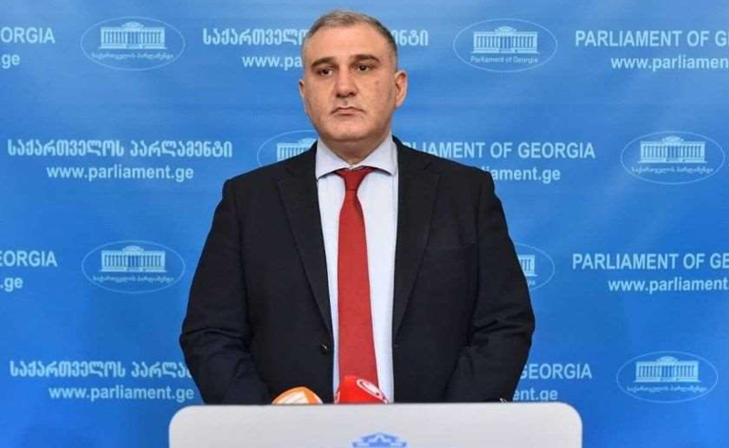 კატეგორიულად არ ვეთანხმები... ჯინ შაჰინი არ არის კარგად ინფორმირებული - სარჯველაძე