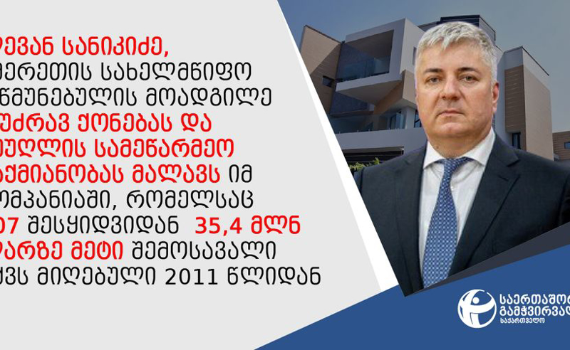 სახელმწიფო რწმუნებულებისა და მათი მოადგილეების ნაწილმა დეკლარაციები ხარვეზებით შეავსო
