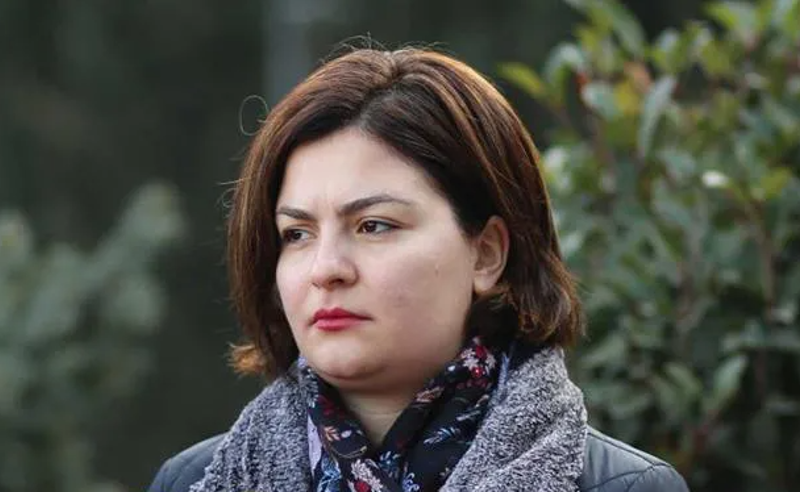 "ოცნება სანქცირებული მოსამართლეების სისტემის შემქმნელი, თანამონაწილე, თანამზრახველი და ხელის დამფარებელია"- ნაცვლიშვილი