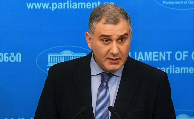 საგამოძიებო კომისიის შექმნა არაკონსტიტუციურია - სარჯველაძე