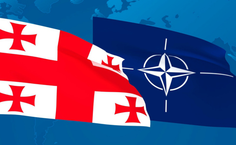 NATO-ს მხარდაჭერა სტაბილურად მაღალია - NDI