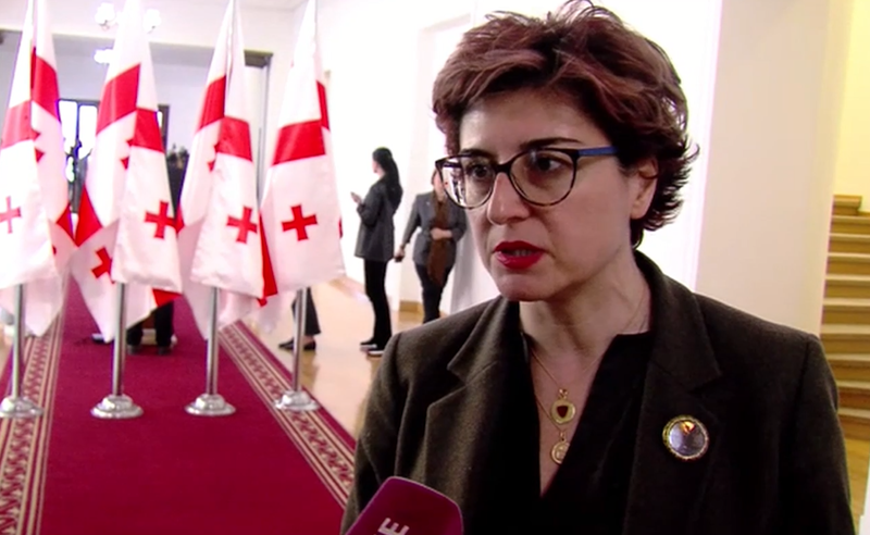 "ოცნება" სასამართლო კლანთან დაკავშირებით ბრძანებებს ბიძინა ივანიშვილისგან იღებს - სამნიძე