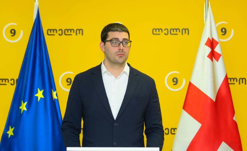 NDI-ს კვლევა ხელისუფლების ვერდიქტია - საბა ბუაძე