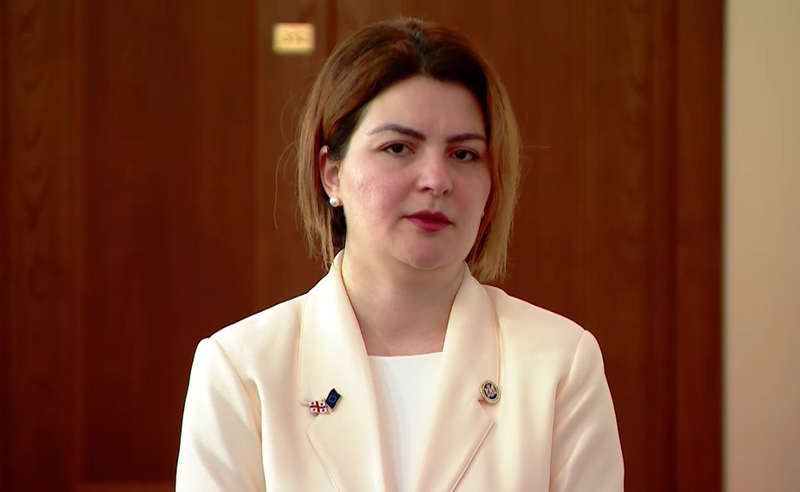 "ხელისუფლება ემზადება იმისთვის, რომ ძალადობრივად, როგორმე ხელისუფლებაში 2024-შიც დარჩეს" - ნაცვლიშვილი