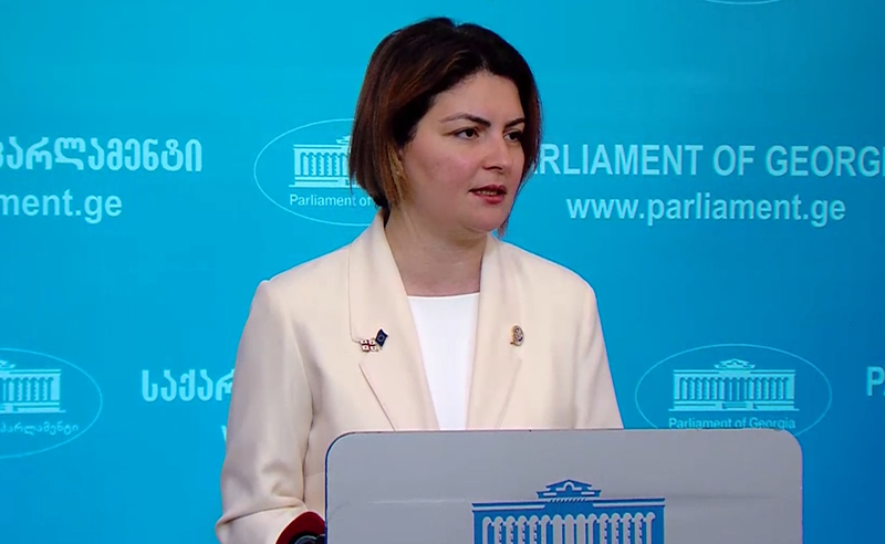ბუდაპეშტში ოჯახის სიწმინდეზე საუბარს, პრემიერს ურჩევნია იმ დედებს შეხვდეს, მისი კაბინეტის წინ ღამეებს რომ ათევენ - ნაცვლიშვილი