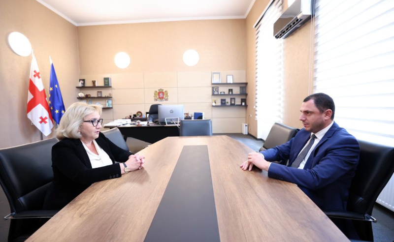 განათლების მინისტრმა ენის კვლევის მიმართულებით კონსულტანტად „ოცნების“ დეპუტატი დანიშნა