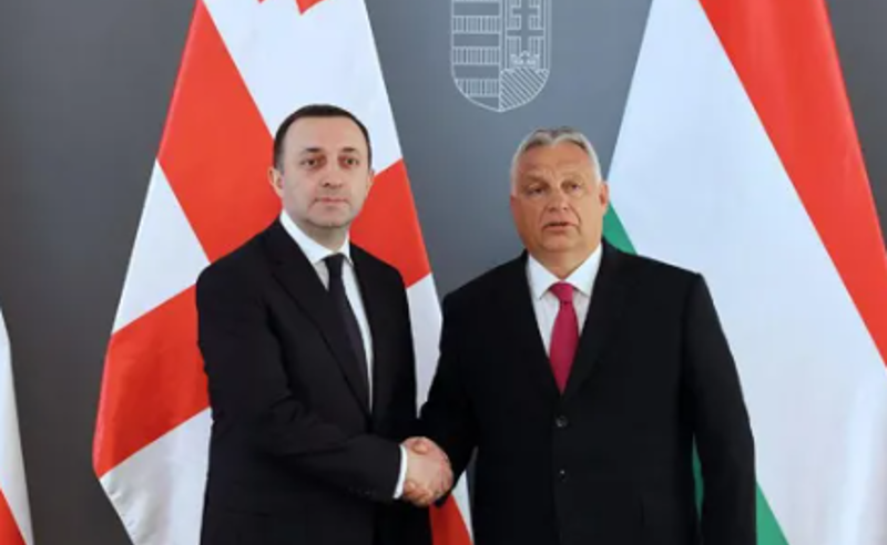  ირაკლი ღარიბაშვილი ვიქტორ ორბანს შეხვდა