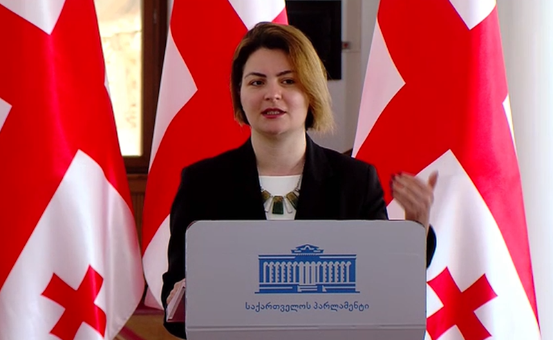 არ გვინდა, გვირილა გვეჭიროს ხელში და ვამბობდეთ, ვინ მონაწილეობს ქოლ-ცენტრებში და ვინ არა - ნაცვლიშვილი