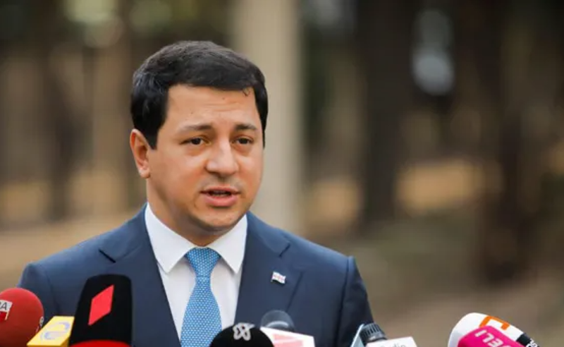 EU-ს კანდიდატის სტატუსის მიღების დაგვიანებამ, რუსეთის გააქტიურება გამოიწვია - თალაკვაძე პუტინის გადაწყვეტილებაზე
