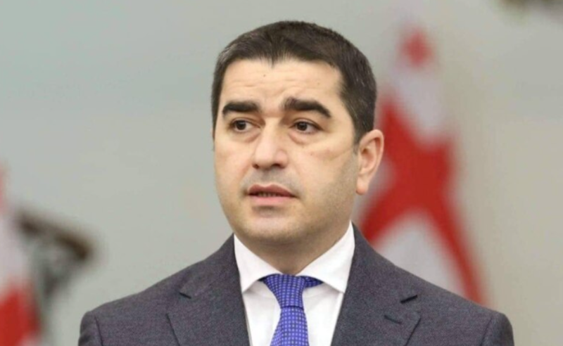 "ოცნება" ოპოზიციის ფინანსების კონტროლს ითხოვს - ახალი იერიში შალვა პაპუაშვილმა წამოიწყო