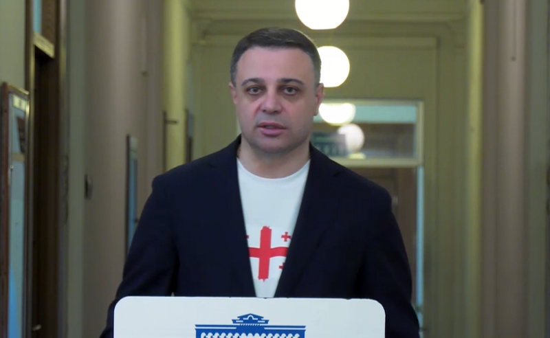 ვერცერთი სანქცირებული ლაინერი ვერ იქნება საქართველოს საჰაერო სივრცეში - ღუდუშაური